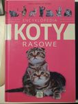 Encyklopedia - koty rasowe