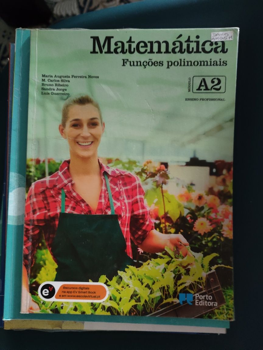 livro matemática ensino profissional