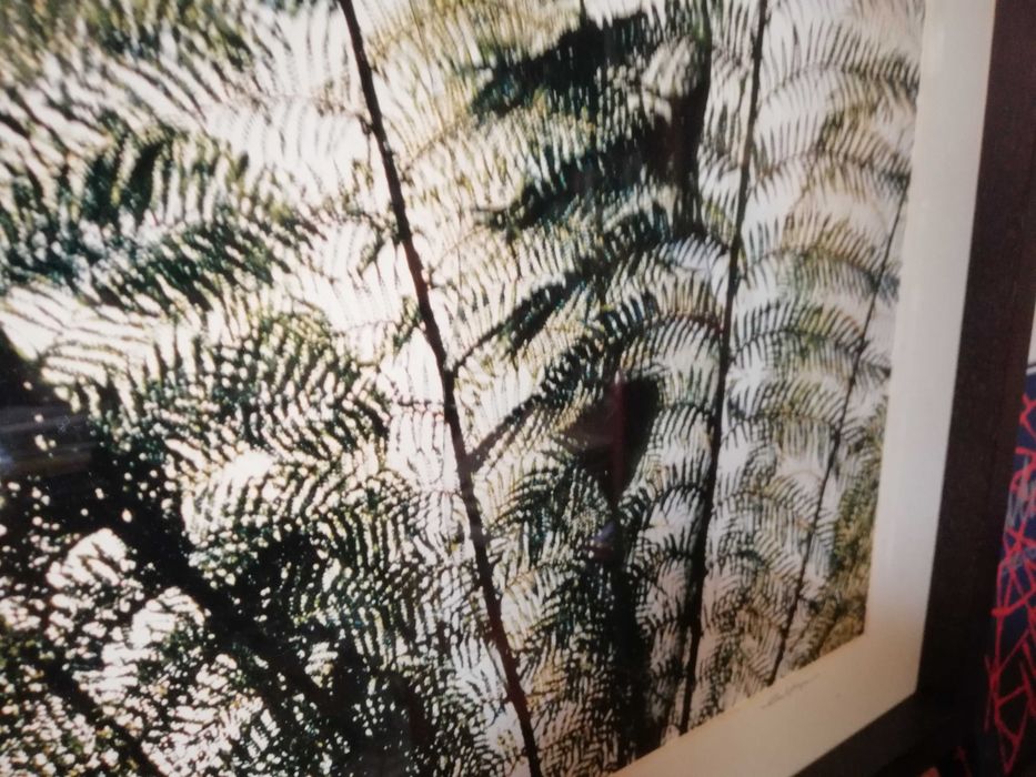 Fotografia original de Carlos Marques