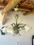 Candeeiro/Lustre