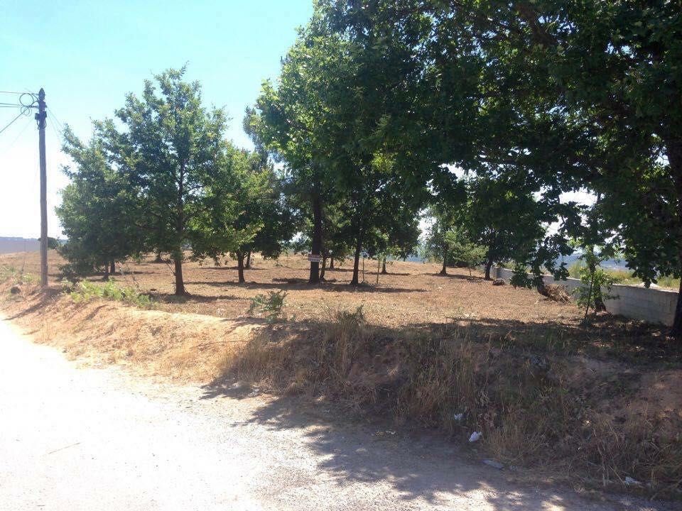 Terreno Vende-se  próximo Retail Park Viseu