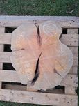 Plaster gruszki grusza gruszka stolik kawowy