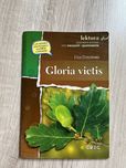 „Gloria victis” Eliza Orzeszkowa