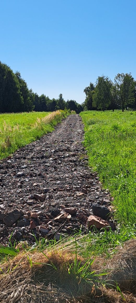 Sprzedam działki budowlane Pszów  Krzyżkowice