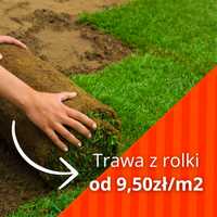 Trawa trawnik z rolki sprzedaz transport montaż