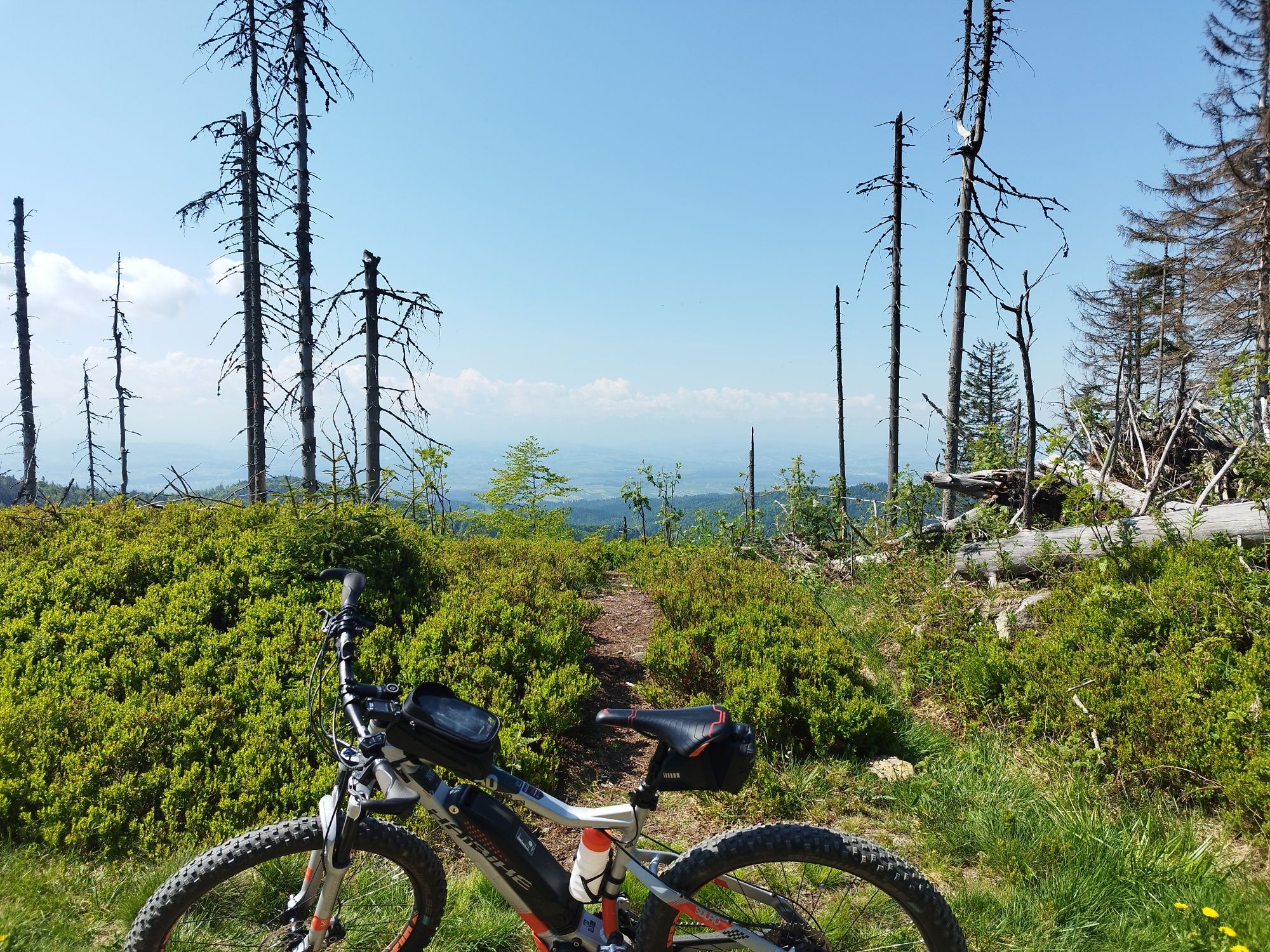 Rower elektryczny haibike 8,0