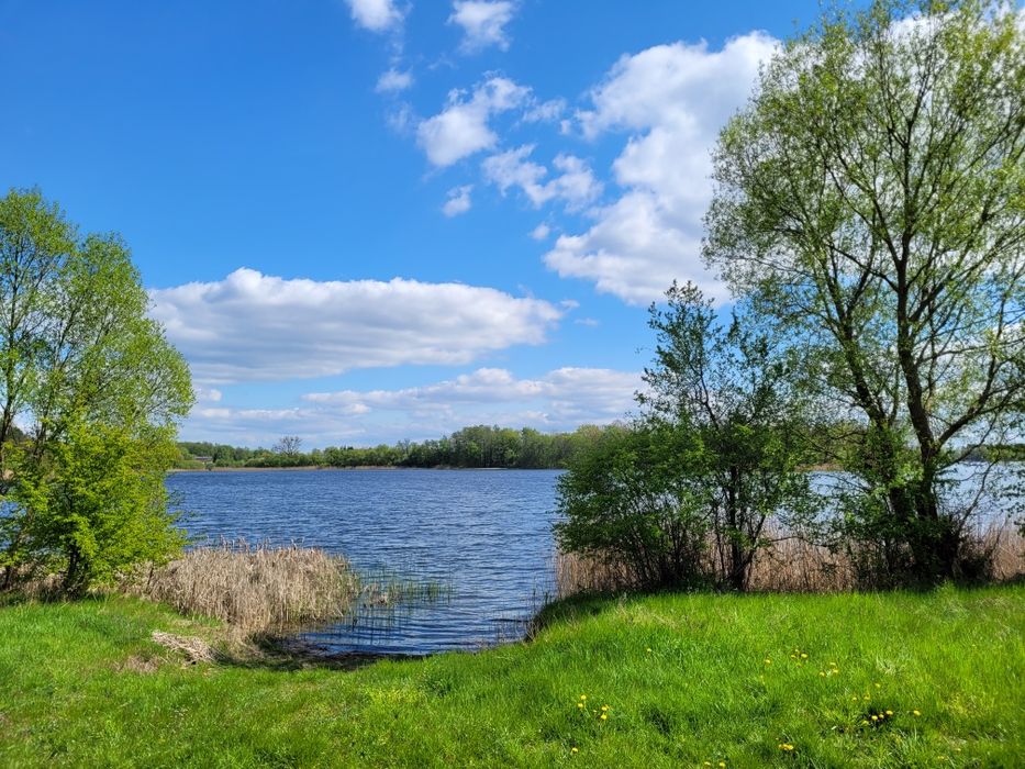 Piekna duża działka nad jeziorem Kłeckim 50m odjeziora BEZ POŚREDNIKÓW