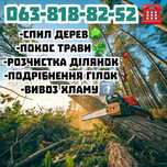 Спил деревьев, омоложение , обрезка