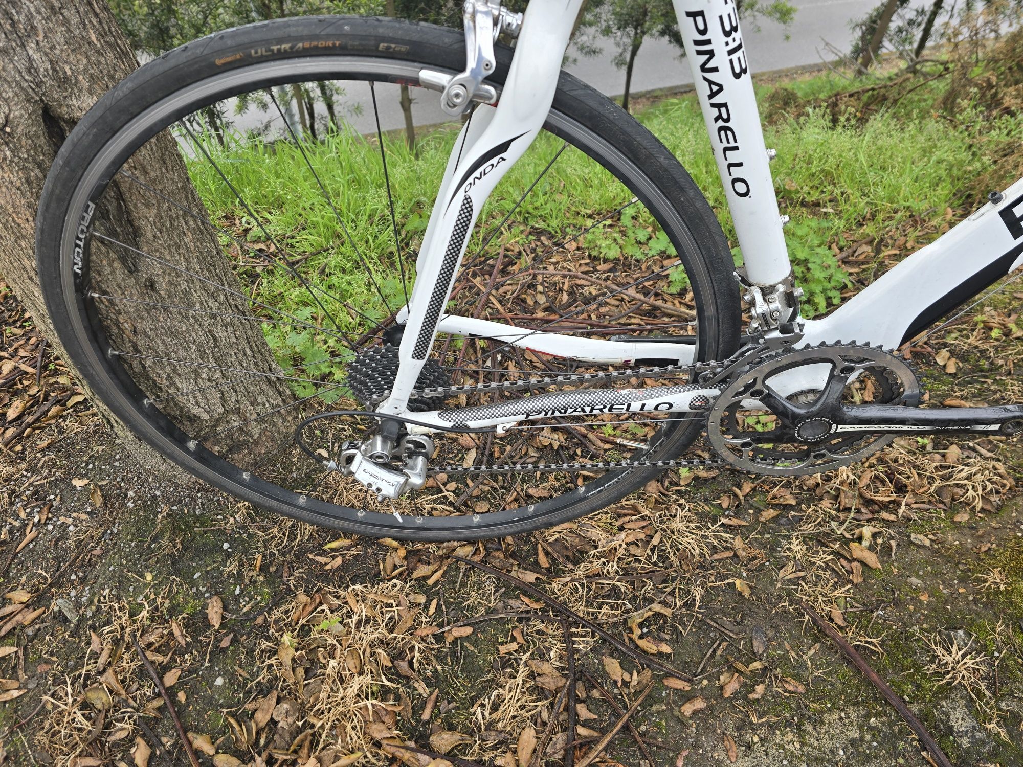 Pinarello de carbono 11x2v oportunidade