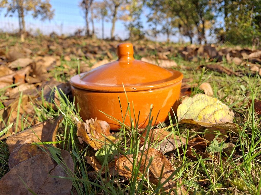 Naczynie ceramiczne, z pokrywką, pojemnik, kuchnia vintage,