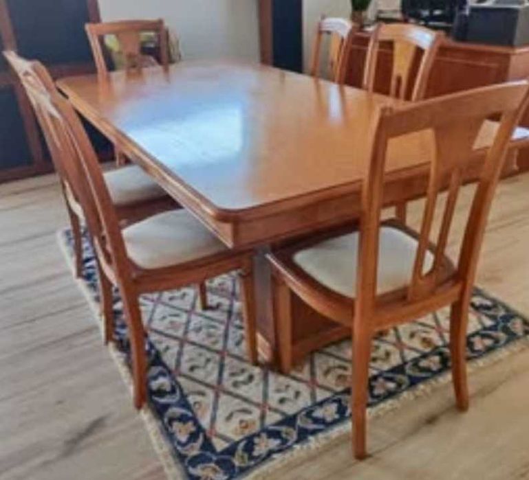 Vendo 6 cadeiras de sala. Ótima oportunidade