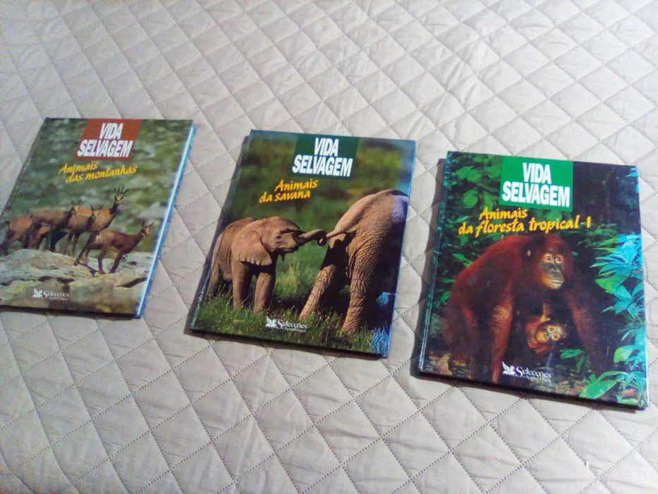 Vida Selvagem - Animais