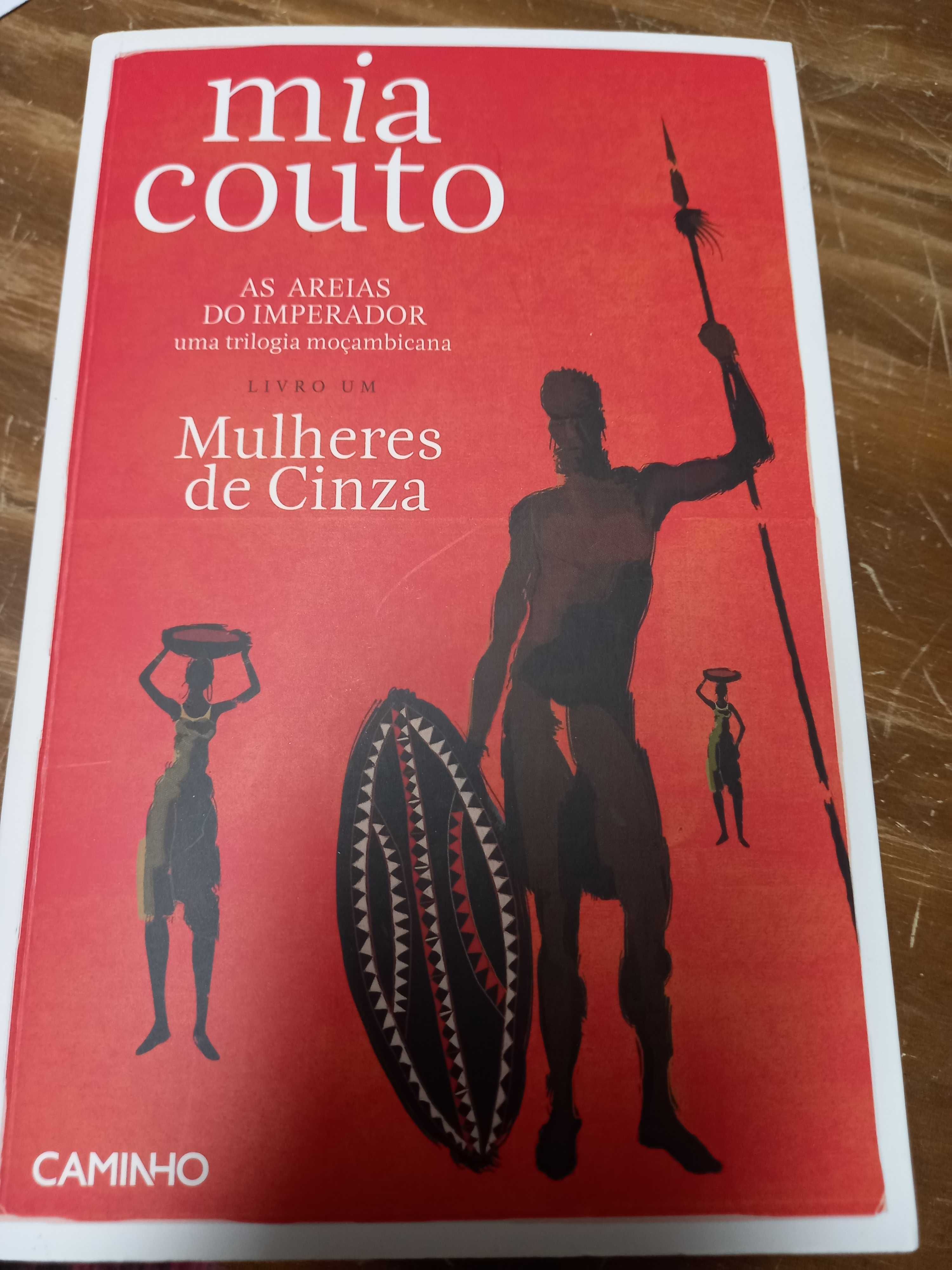 Livro: Mulheres de Cinza - Mia Couto