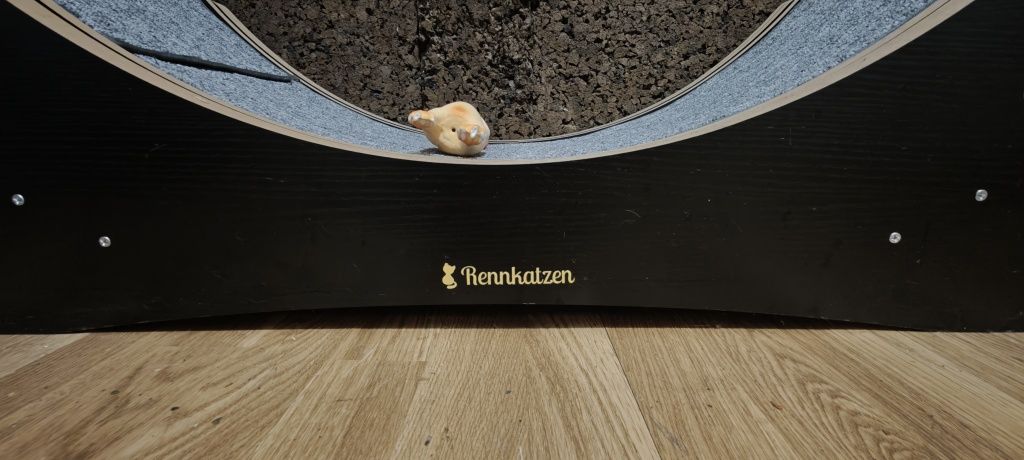 Roda para gato nova