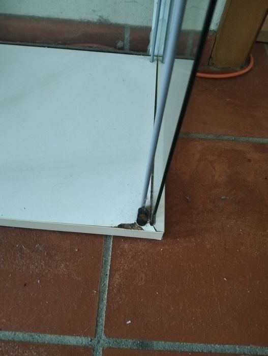 Vitrine branca com luzes