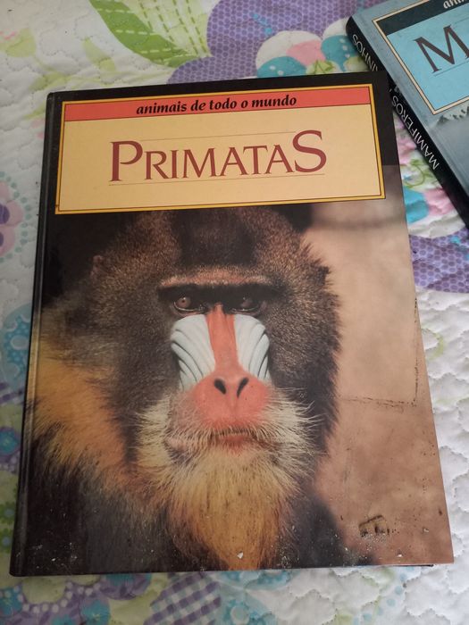 Vários Livros 1€