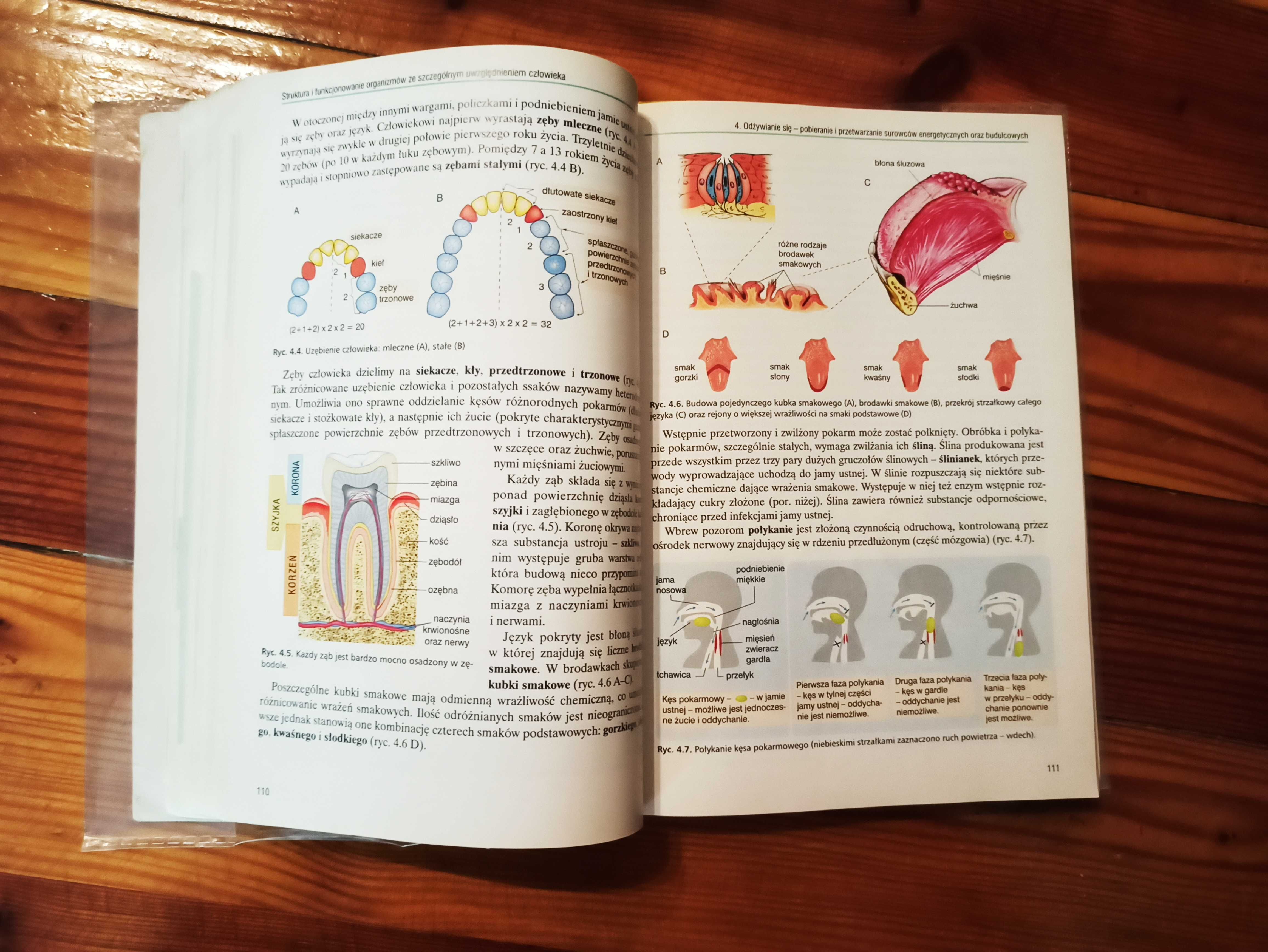 Operon 1-3 podręczniki do liceum