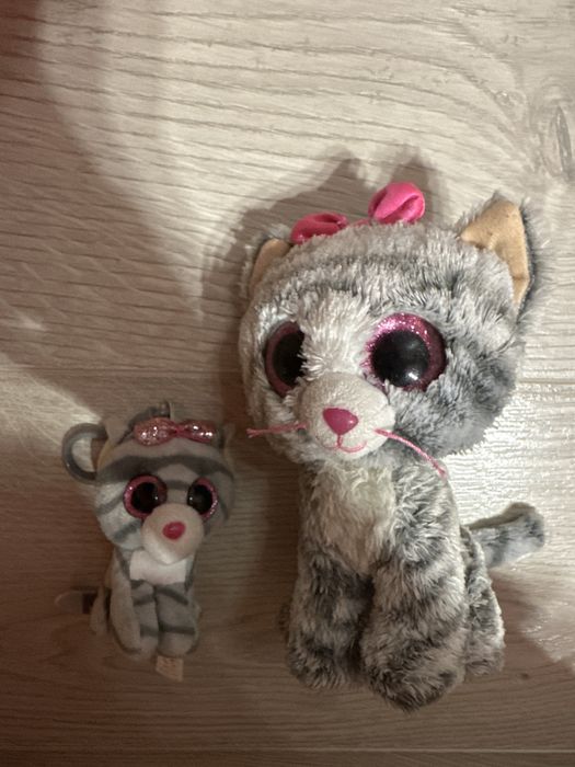 Ty глазастики кішки