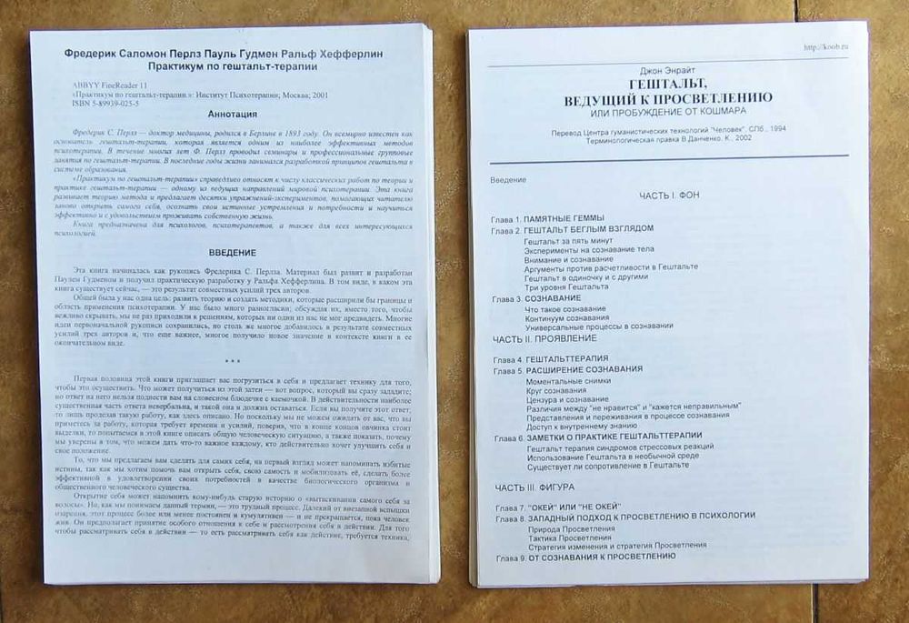 Практикум по гештальт-терапии. Гештальт, ведущий к просветлению.
