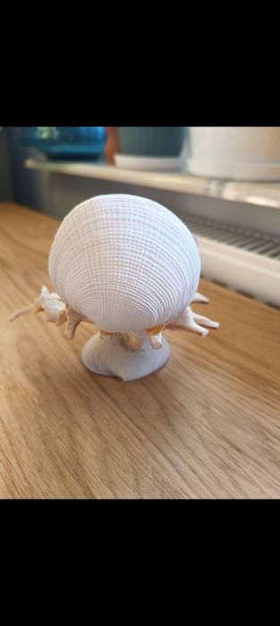 Ozdoba z muszli/bibelot z PRL-u. Wymiary na zdjęciu