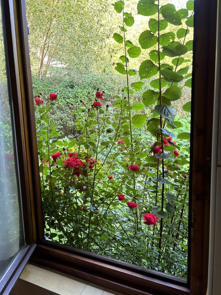 Wakacje w Bieszczadach, domek do wynajecia Bystra chata