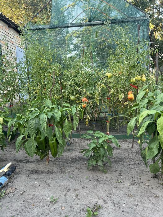 Продам дачу ст.Лесная Поляна