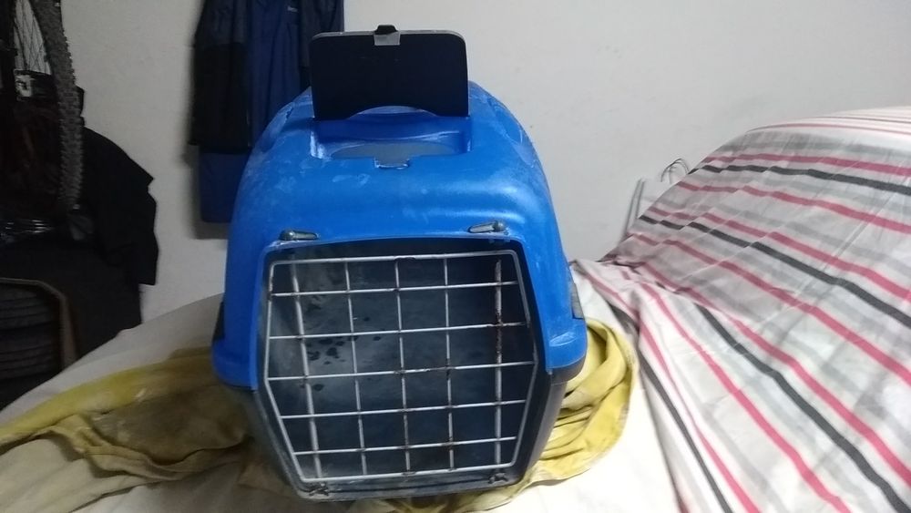Caixa transporte