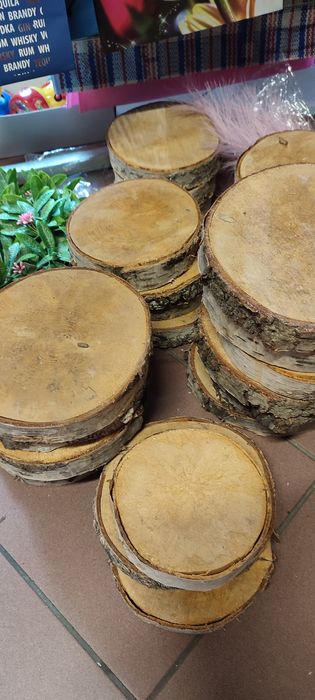 Duże plastry brzozy 18-20 cm gr. 3 cm