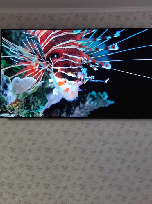 Продам свій LG OLED55C8