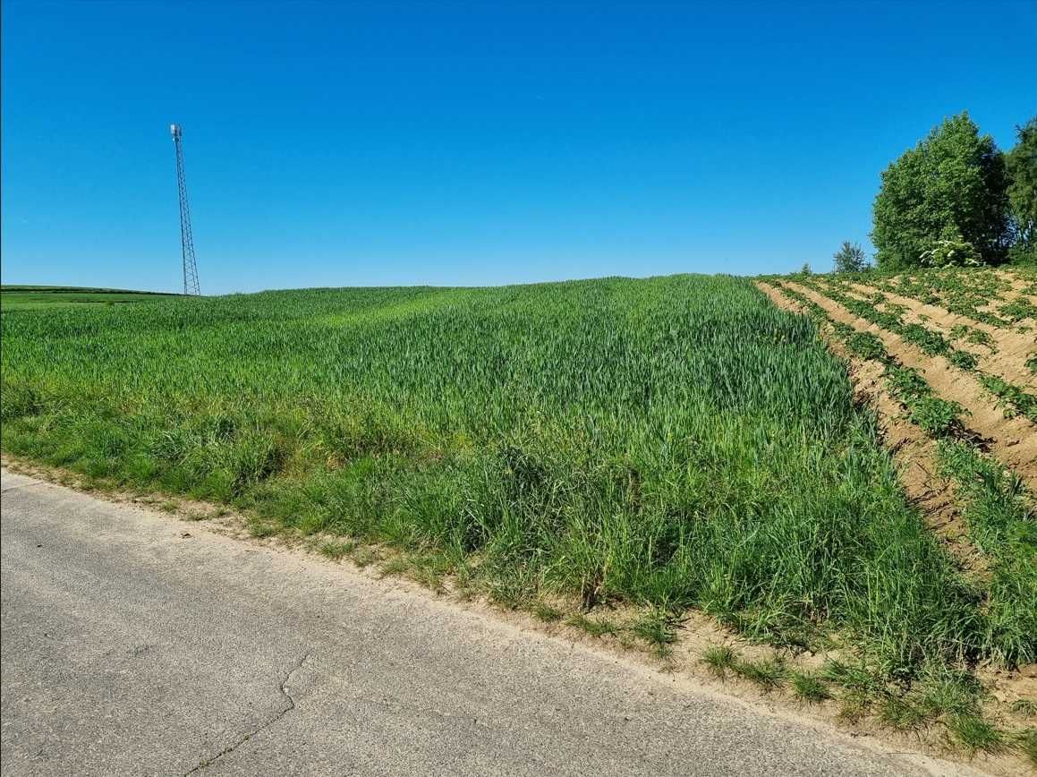 działka rolna oraz budowlana 1,74 ha oraz 0,2 ha