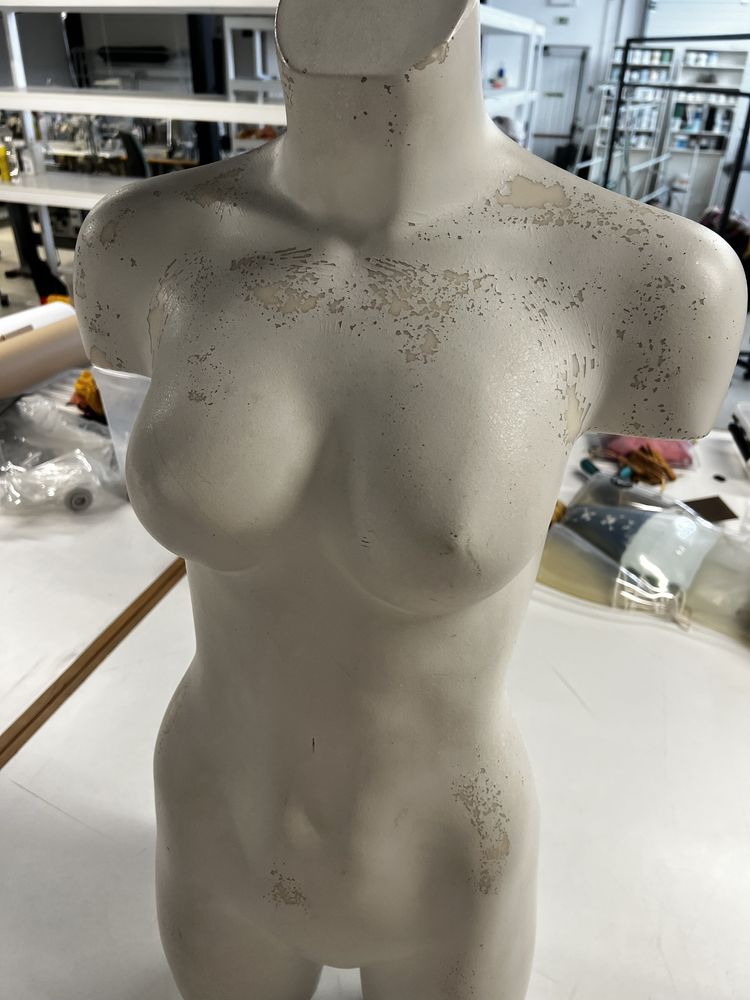 Busto mulher para confeccao / atelier / loja