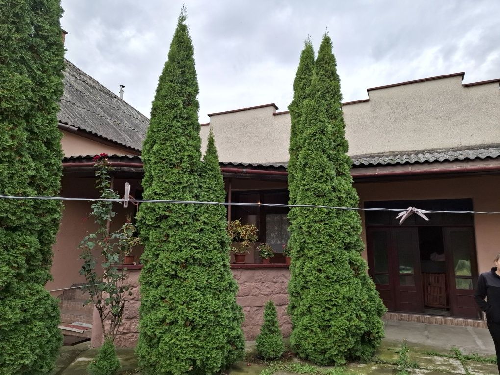 с. Боржава будинок 120 кв.м. Евроремонт