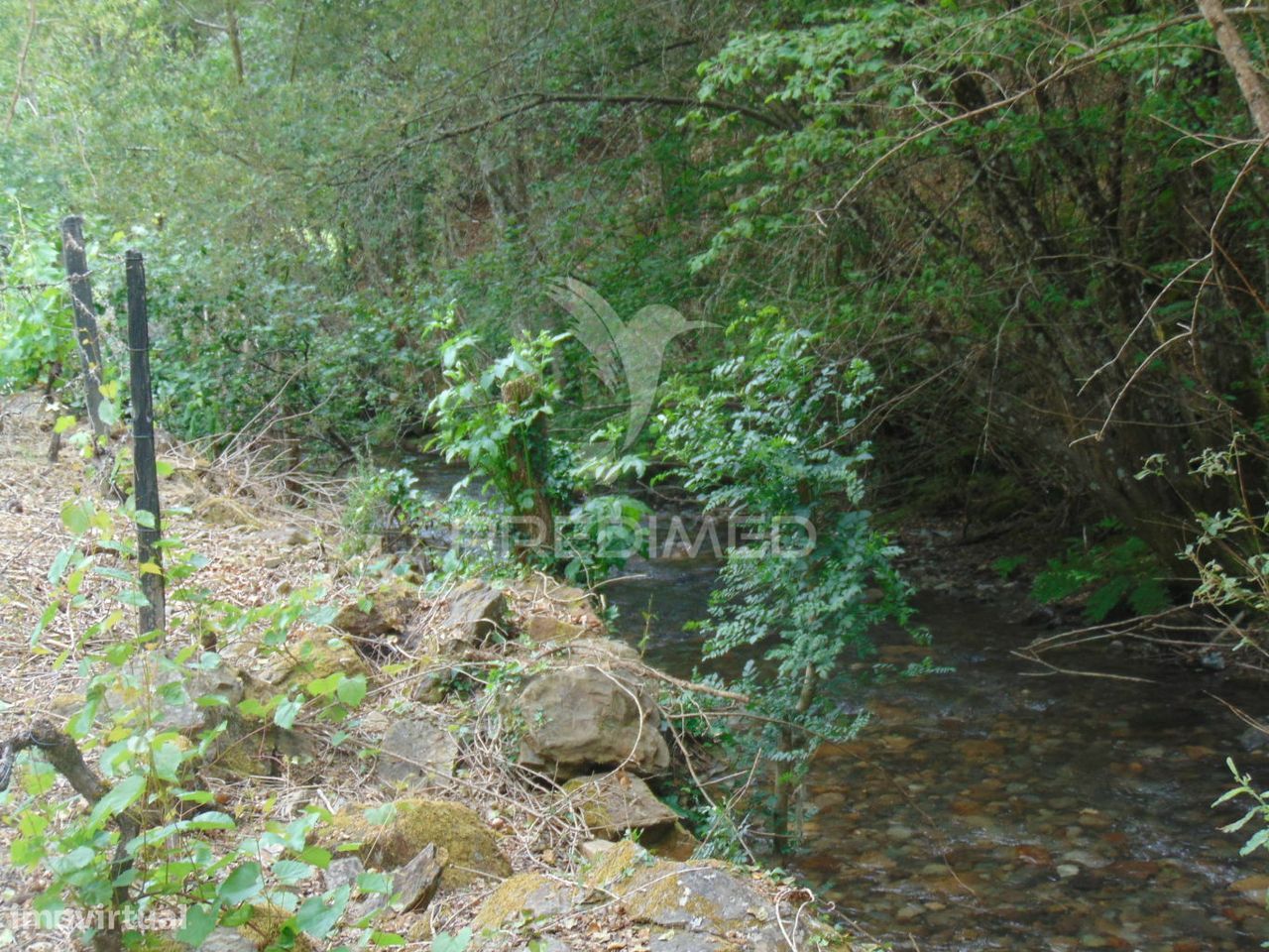 Quinta c/ vinha em produção em Santa Marta de Penaguião
