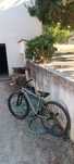 Bike de grau/weeling