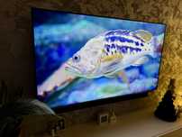 TV Samsung UE55NU8052 4K premium HDR 120HZ