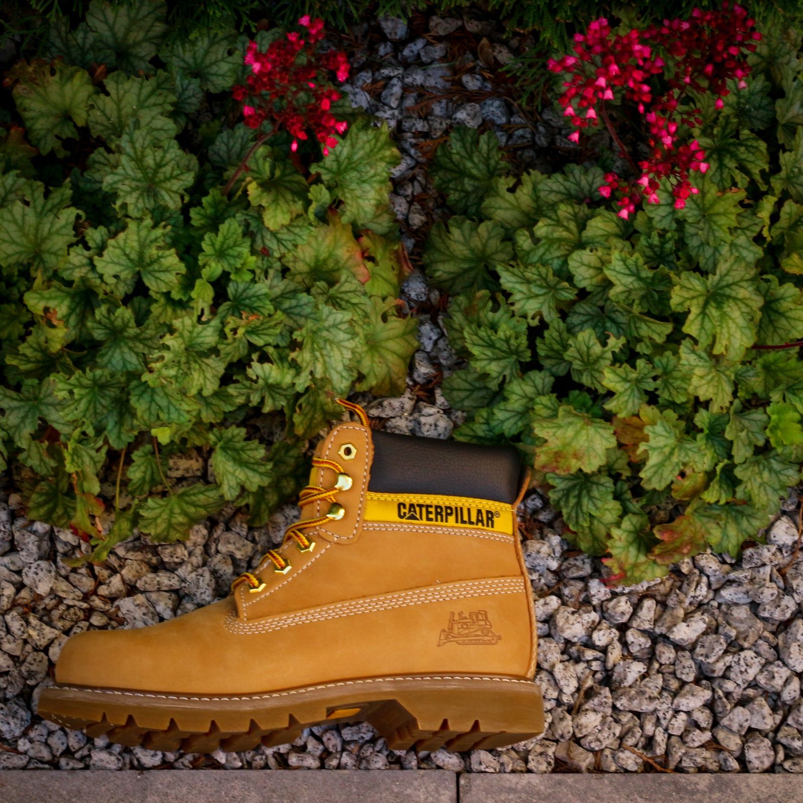 Buty zimowe CAT Caterpillar COLORADO 38,39,40,41 Tanio!!
