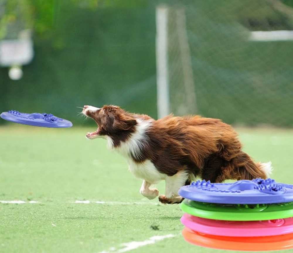 Frisbee Dla Psa Zabawka Latający Dysk Aportowanie Przysmak 20cm