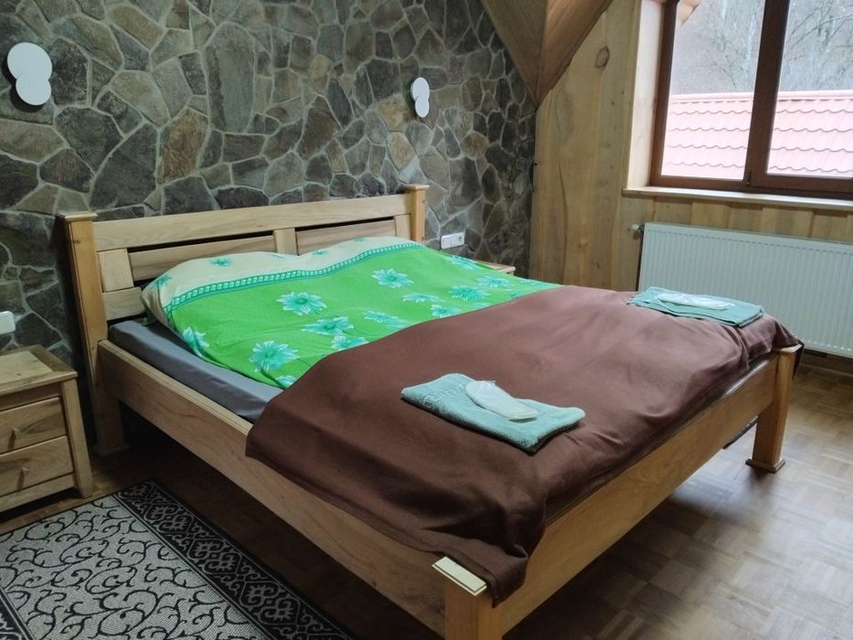 Маєток у горах Карпат с Вовчий Закарпатської області