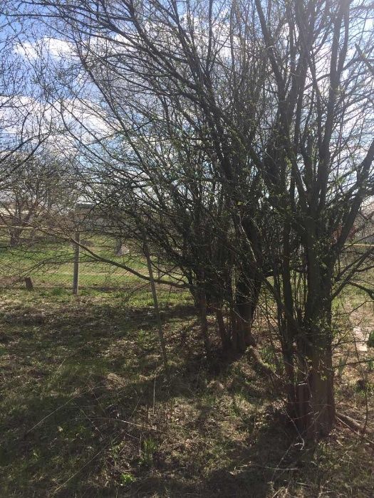 Продам участок под застройку!