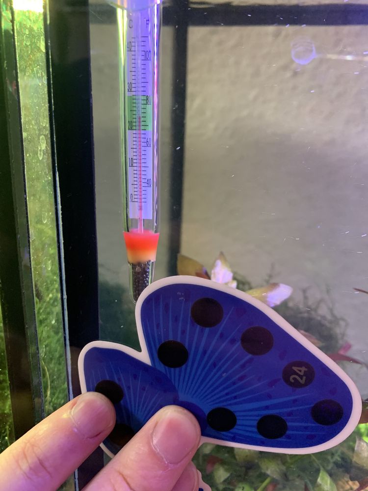 Термометр градусник зовнішній акваріум рибка