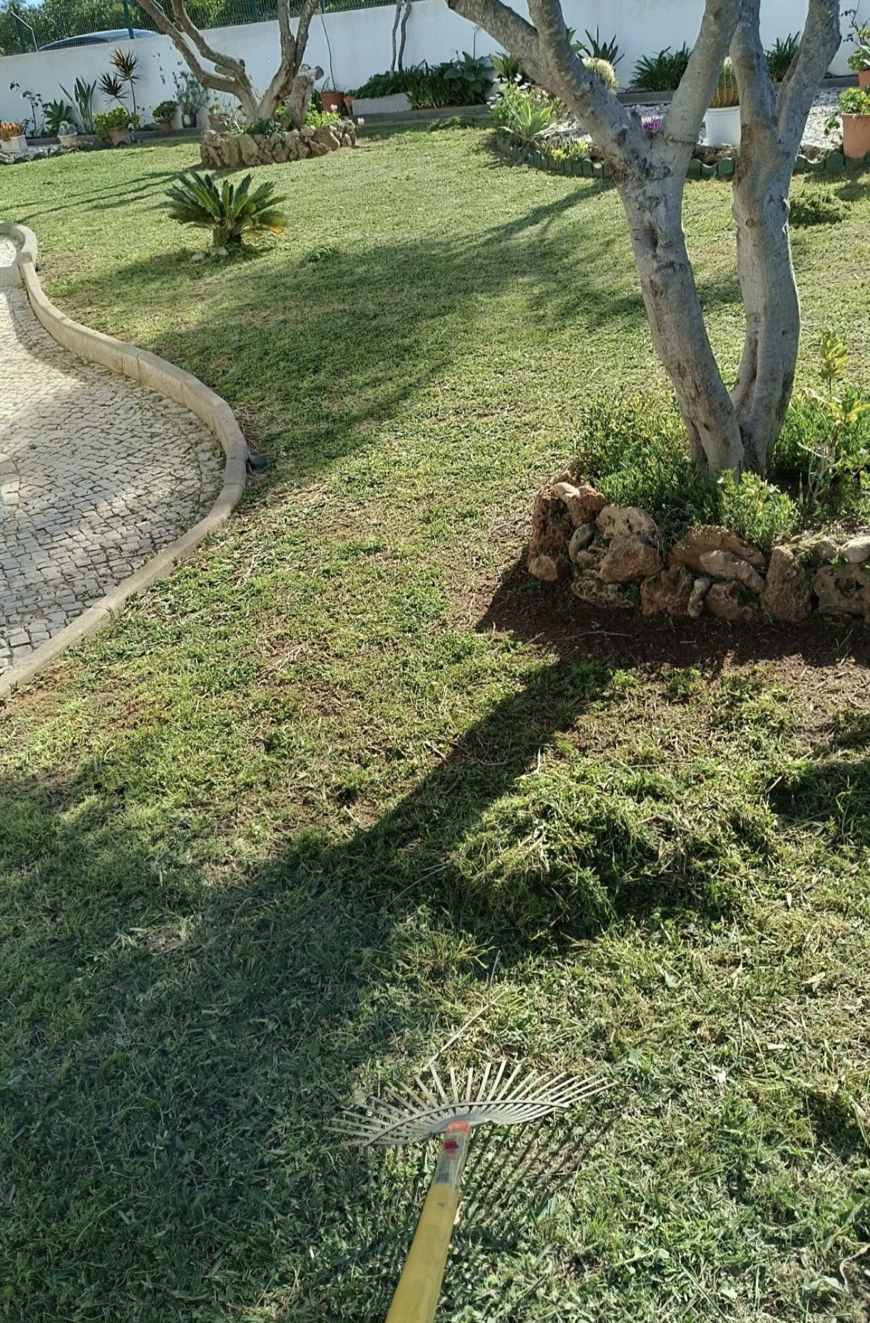Manutenção e Jardinagem
