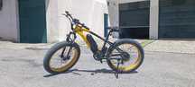 Electric bike Gogo Best GF600