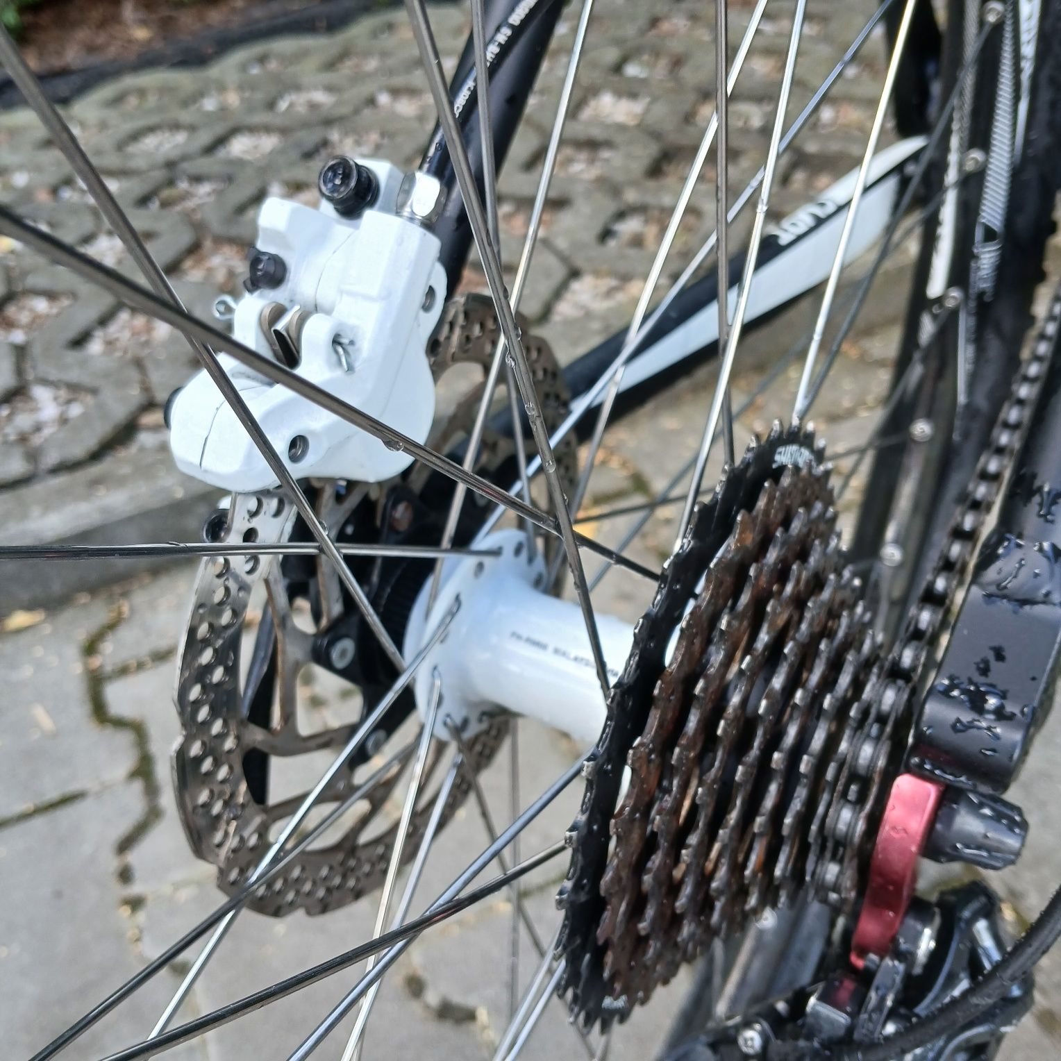 Rower CUBE analog