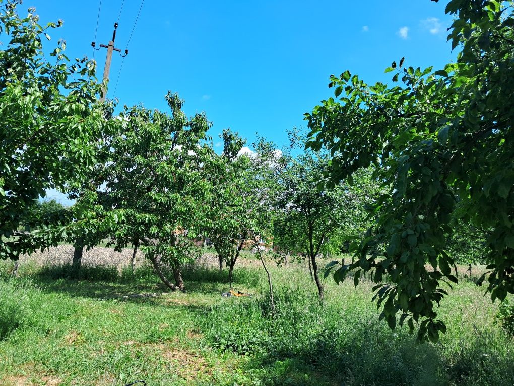 Продам будинок Крехів
