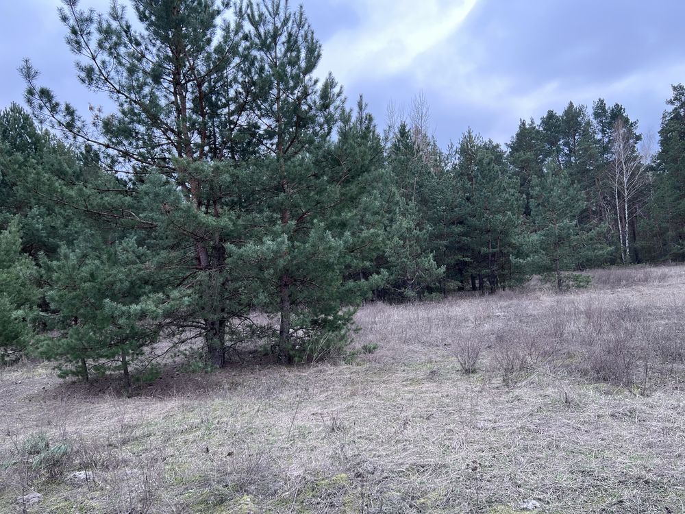 Продам ділянку 4Га в селі Жукин з лісом