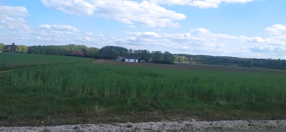 Sprzedam działkę