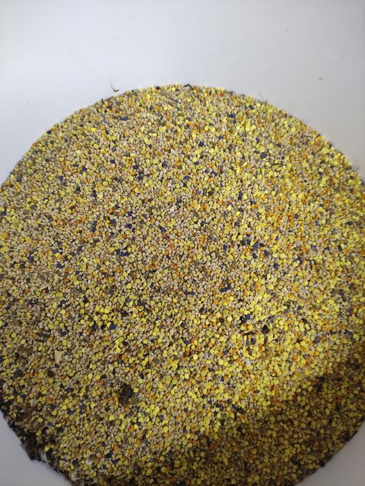 Pyłek pszczeli tegoroczny