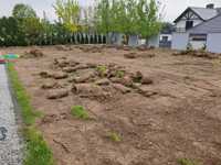 Oddam za darmo darń, ziemię, humus Michałowice