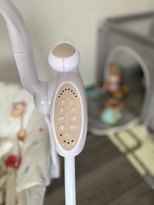 Заколисуючий центр