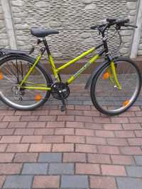 Damka rower 26 cali goldwell